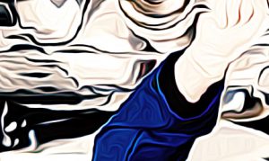 Pre purchase inspection